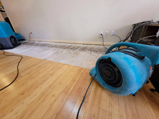 Professional Burst Pipe Water Damage technician working in Beaufort, SC